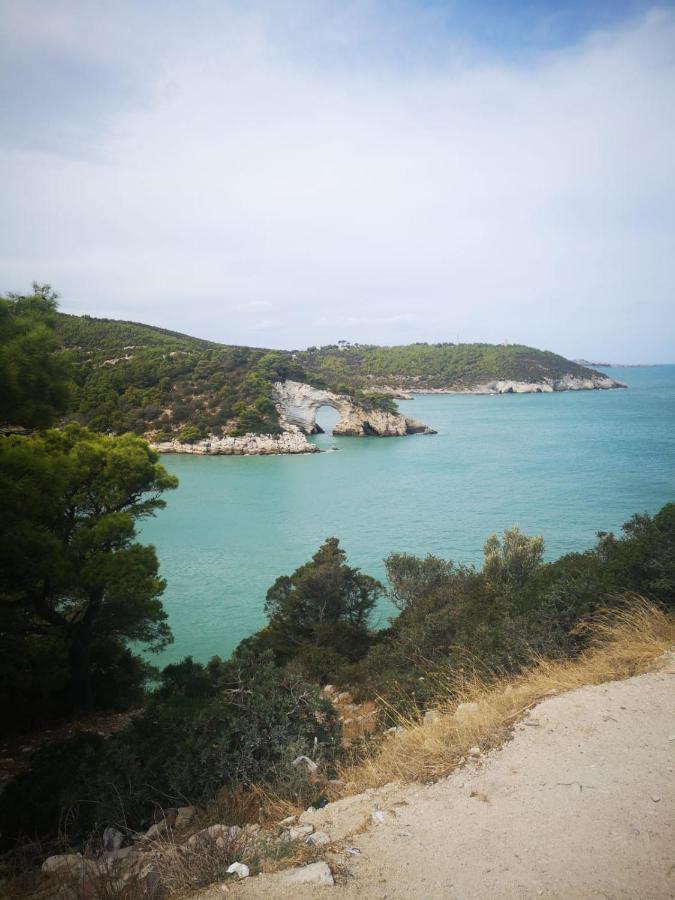 Vieste Holiday المظهر الخارجي الصورة